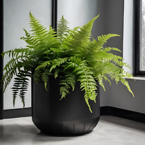 PLANTS + TREES for FLOORS & STAGES