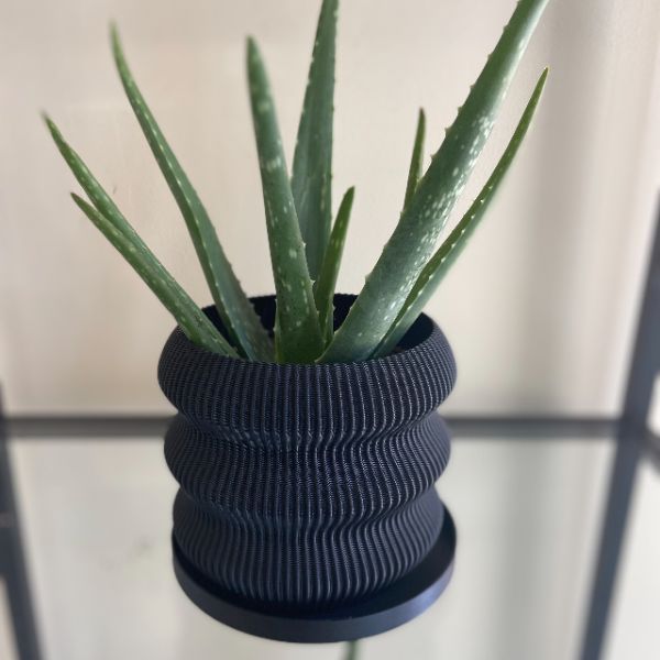 FRESH ALOE VERA IN 3D PRINTED POTS - 5" POT