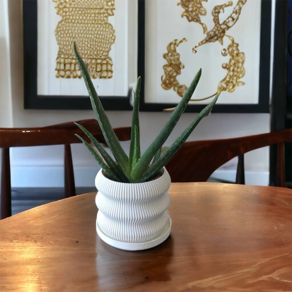 3D Printed Eco Medium Pot - 5.5" Tall