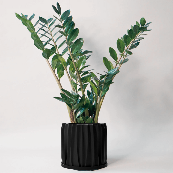 PT351 - FAUX 4FT ZEE ZEE PLANT