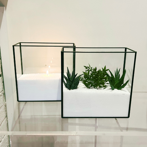 PT200 - FRESH or FAUX SUCCULENTS + BLACK & GLASS TERRARIUM