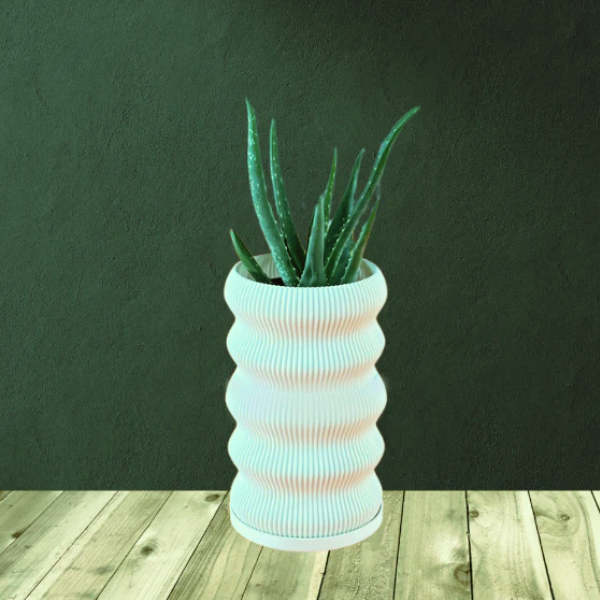 PT251 - FRESH or FAUX ALOE VERA PLANTS + 3D PRINTED POTS