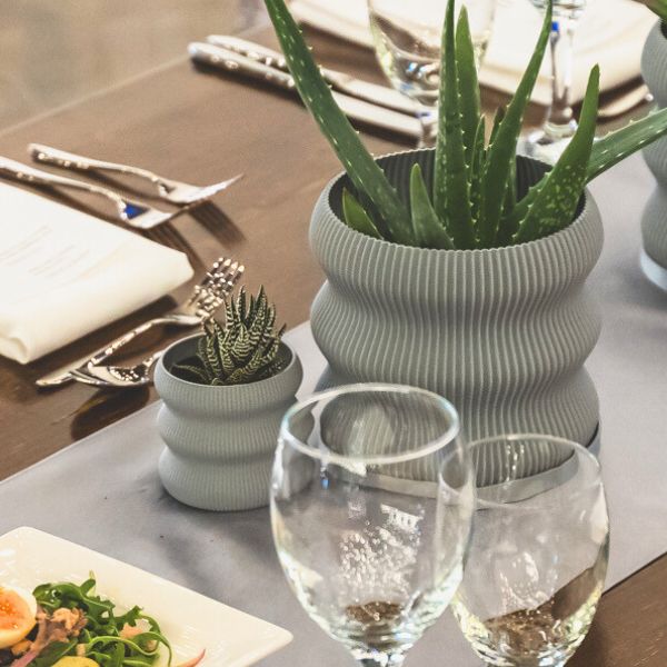 PT251 - FRESH or FAUX ALOE VERA PLANTS + 3D PRINTED POTS