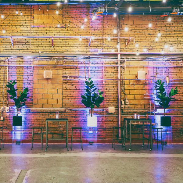 PT451 - FAUX 6FT RUBBER LEAF TREE