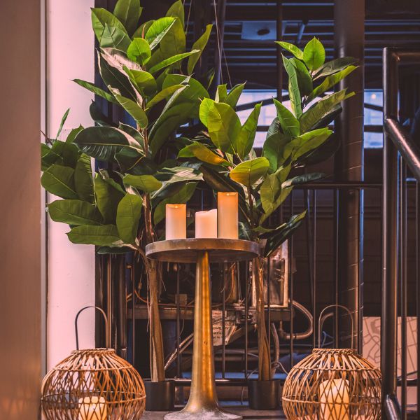 PT451 - FAUX 6FT RUBBER LEAF TREE