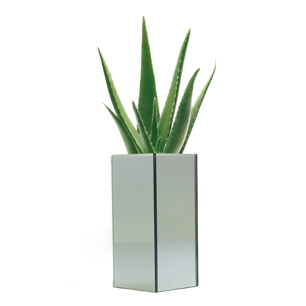 PT250 - FRESH or FAUX ALOE VERA + SMOKE MIRROR SERIES