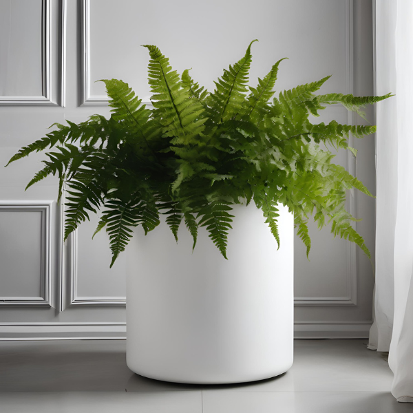 PT551 - FRESH or FAUX FERN PLANT