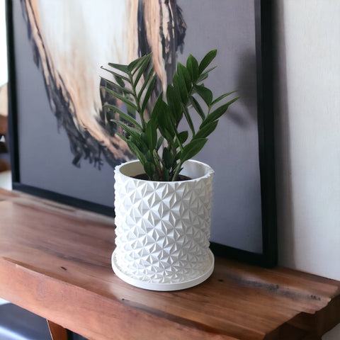 PT350 - FRESH or FAUX ZEE ZEE PLANTS + 3D PRINTED POTS