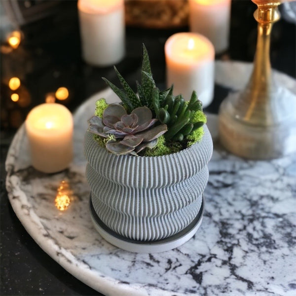 PT201 - FRESH or FAUX SUCCULENTS + 3D PRINTED POTS