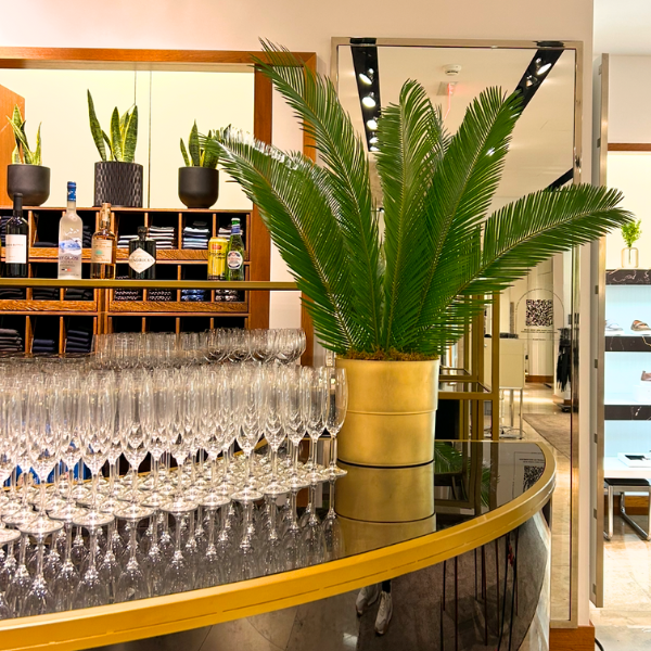 Plants_-_Bar.png
