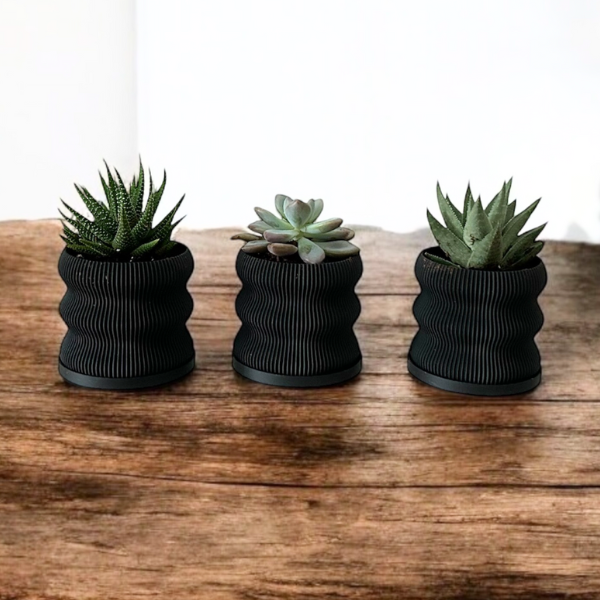 succulents in black vase PT201 - FRESH or FAUX SUCCULENTS + 3D PRINTED POTS – Black Label Rentals