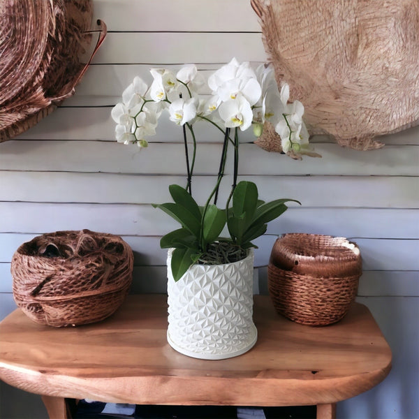 3D300 - 3D PRINTED 8" GEO POT
