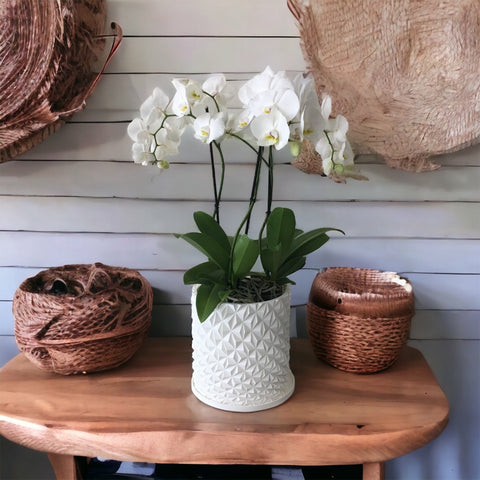 3D310 - 3D PRINTED 10" GEO POT