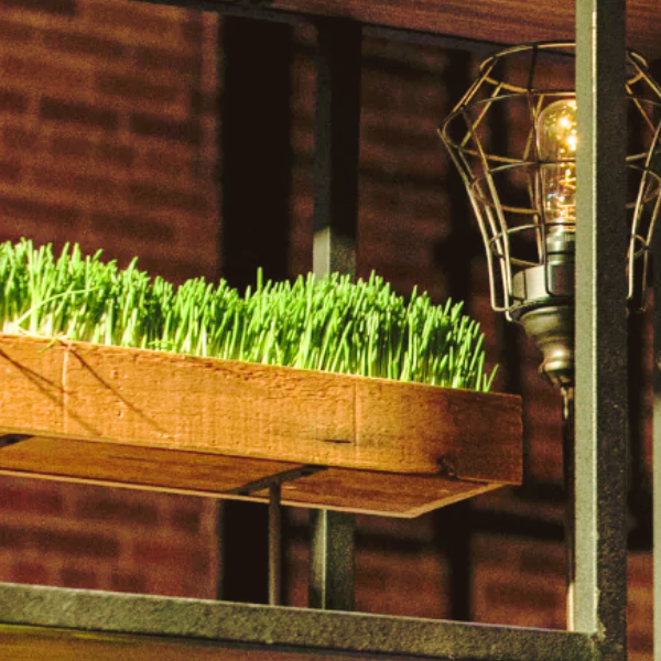 RECTANGULAR WOOD PEDESTAL VASE SERIES